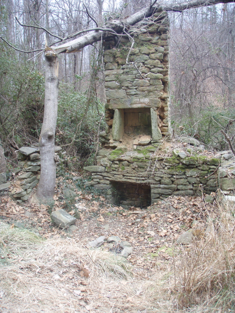 P1180024.JPG