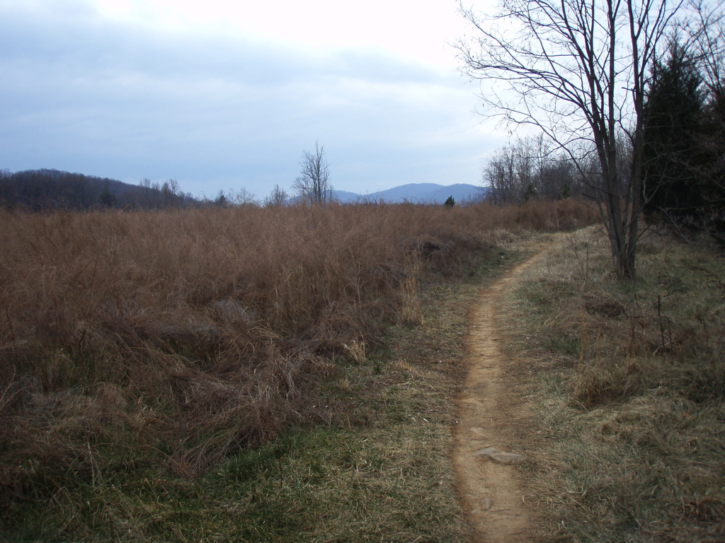 P1180025.JPG