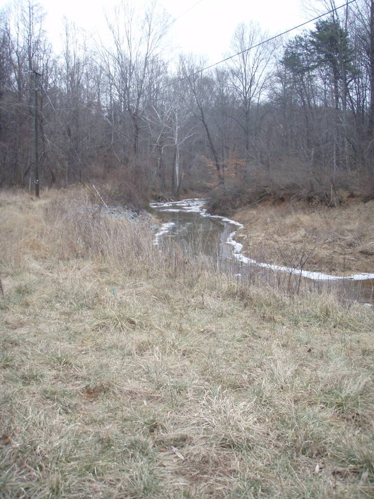 P1180008.JPG