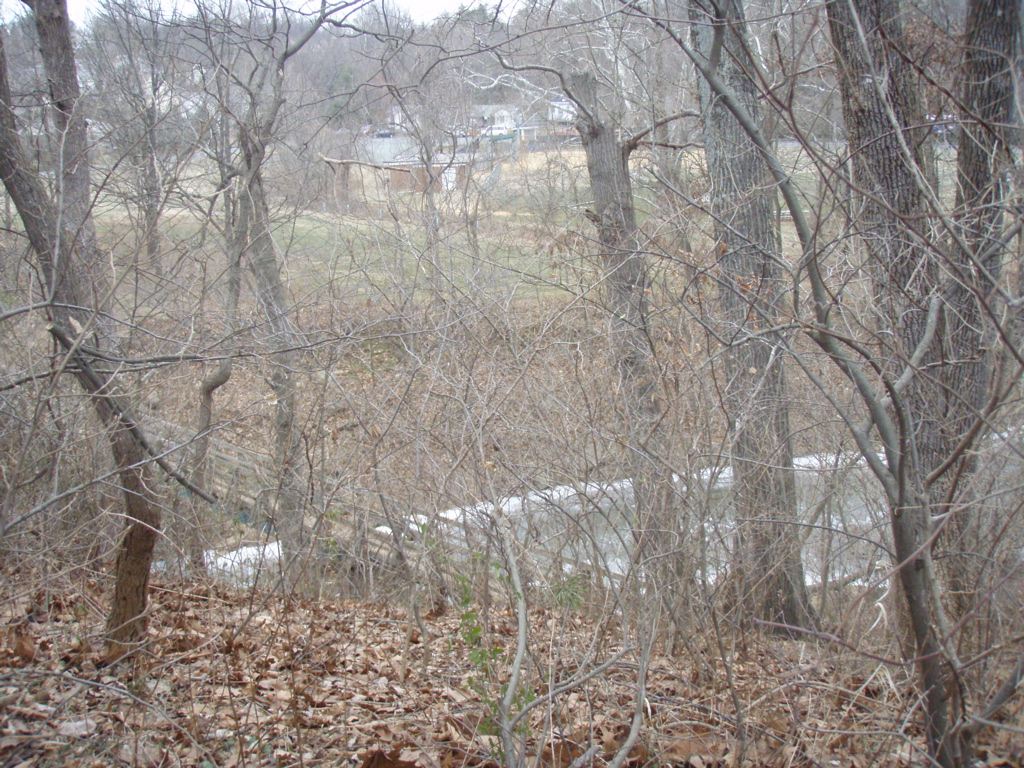 P1180009.JPG