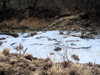 P1180016.JPG