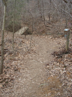 P1180020.JPG