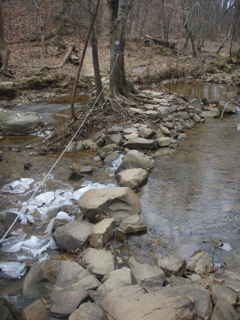 P1180021.JPG