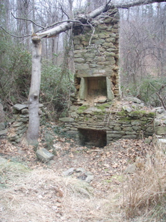 P1180024.JPG