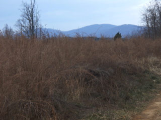 P1180026.JPG