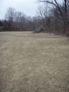 P1180005.JPG
