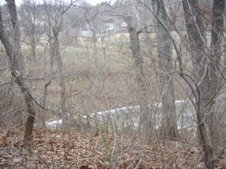 P1180009.JPG