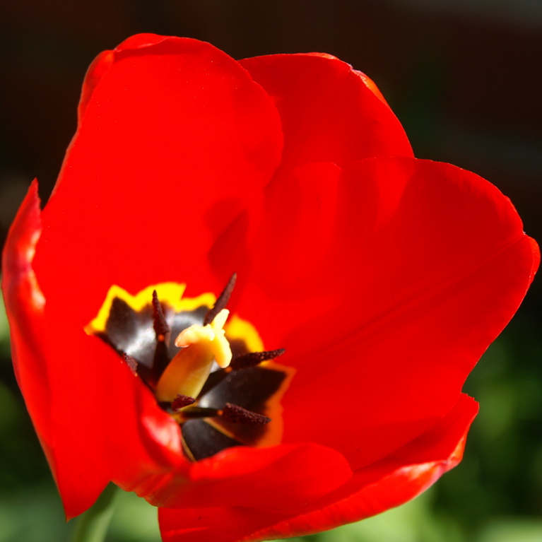 PICT2969.JPG