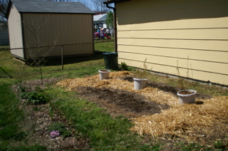 PICT2896.JPG