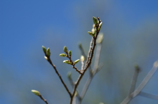 PICT2899.JPG
