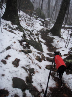 P3150003.JPG