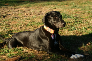 PICT2877.JPG