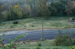 PICT0778.JPG