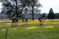 PICT0797.JPG