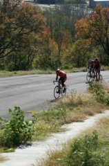 PICT0802.JPG