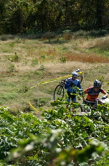 PICT0805.JPG