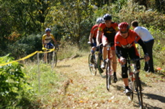PICT0806.JPG