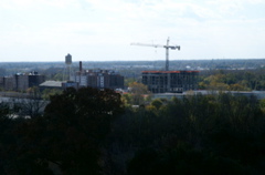 PICT0779.JPG
