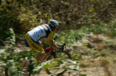 PICT0842.JPG