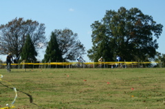PICT0846.JPG
